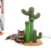 Chat allongé à coté de Griffoir cactus