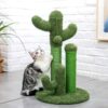 Chat joue avec Griffoir cactus