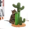 Chat se frotte la tete sur un Griffoir cactus