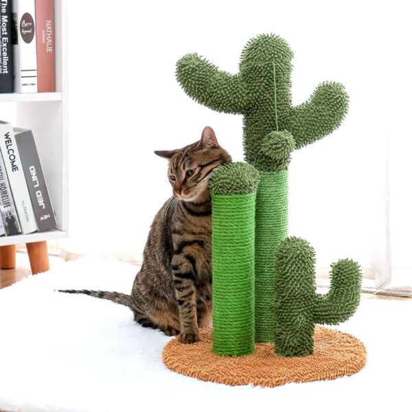 Chat se frotte la tete sur un Griffoir cactus