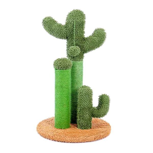 Griffoir cactus