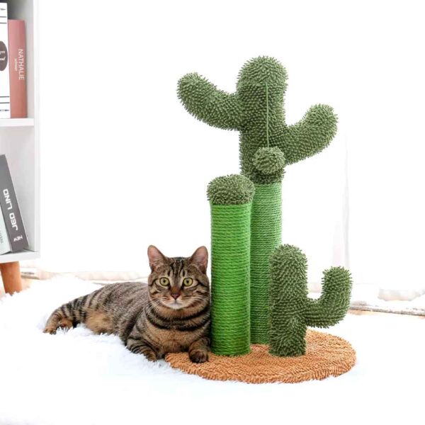 Chat allongé à coté de Griffoir cactus